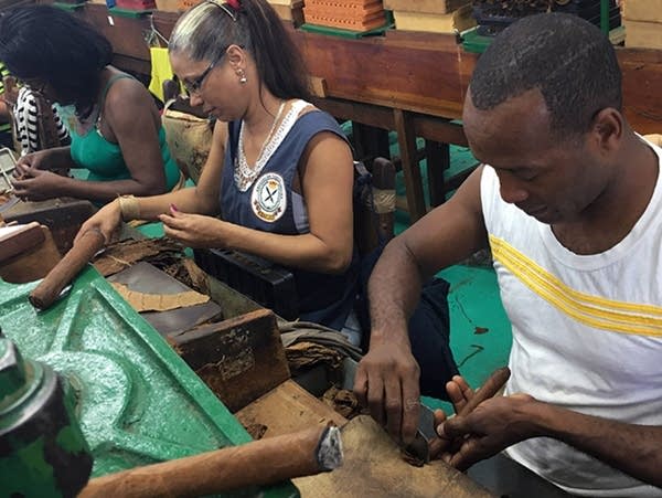 cuban tobacco industry Cuban tobacco farmers involved in cigar production face tough times