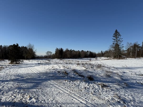 An empty golf course covered in snow.