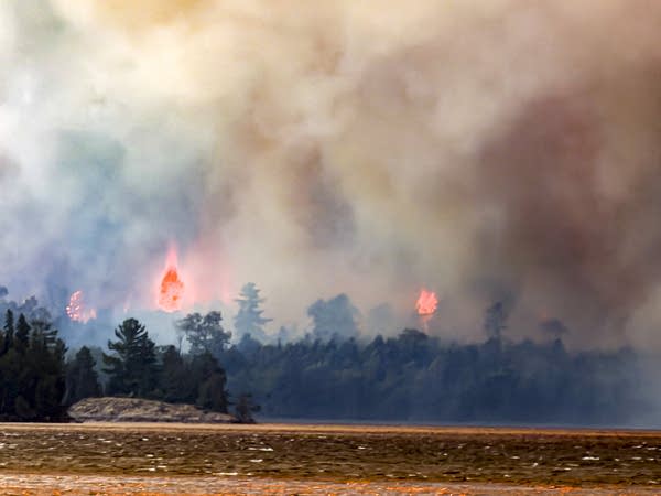 Wildfire