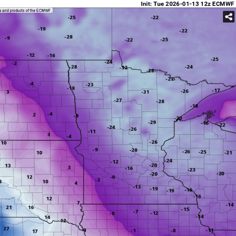 European ECMWF model temperature