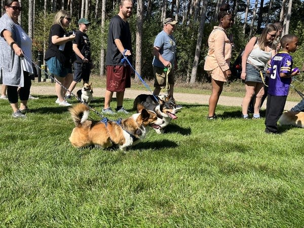 People wait in line to join the meet-up with their dogs.