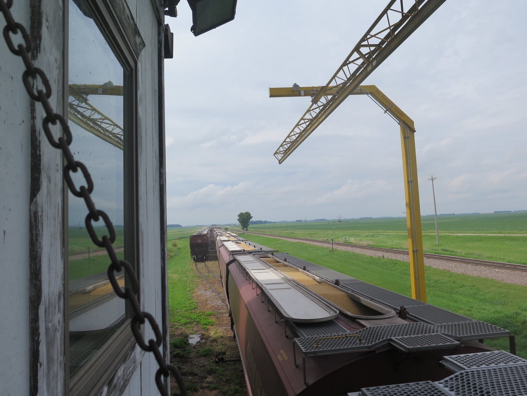 Soybeans are loaded onto a train at the Farmers Cooperative Elevator