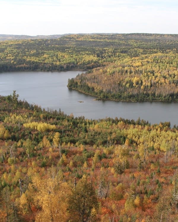 A view of lakes and forests from a high vantage point