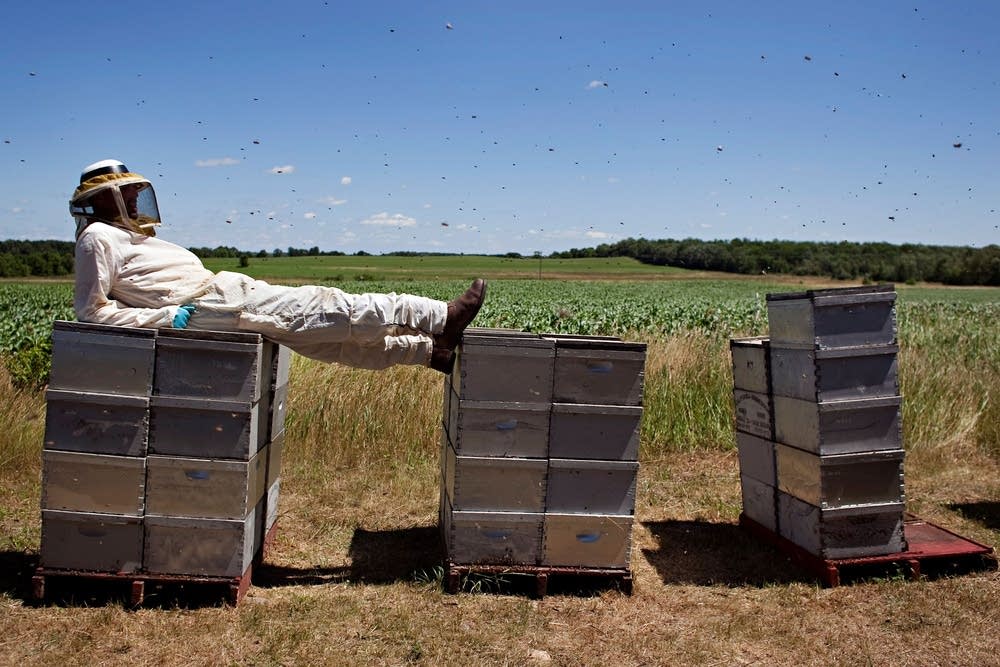 Keeping with bees