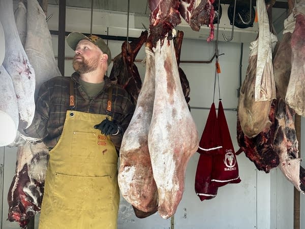 A man in a yellow apron walks between hanging bags of meat. 