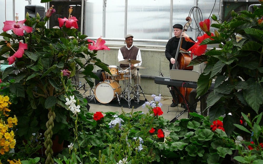 musicians greenhouse spring music