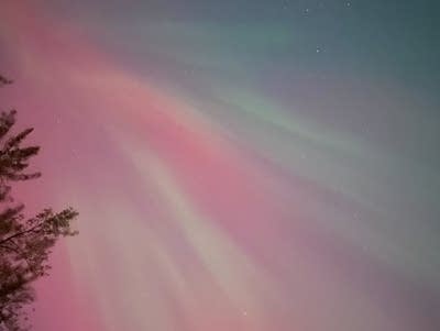 aurora in shoreview 