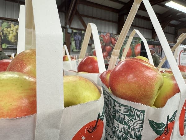 Bags full of apples are on display.