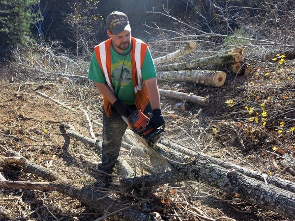 Trimming up the timber