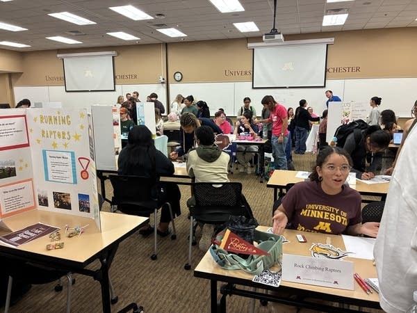 students at activities fair