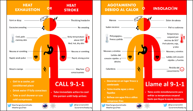 Steamy weekend; heat safety tips