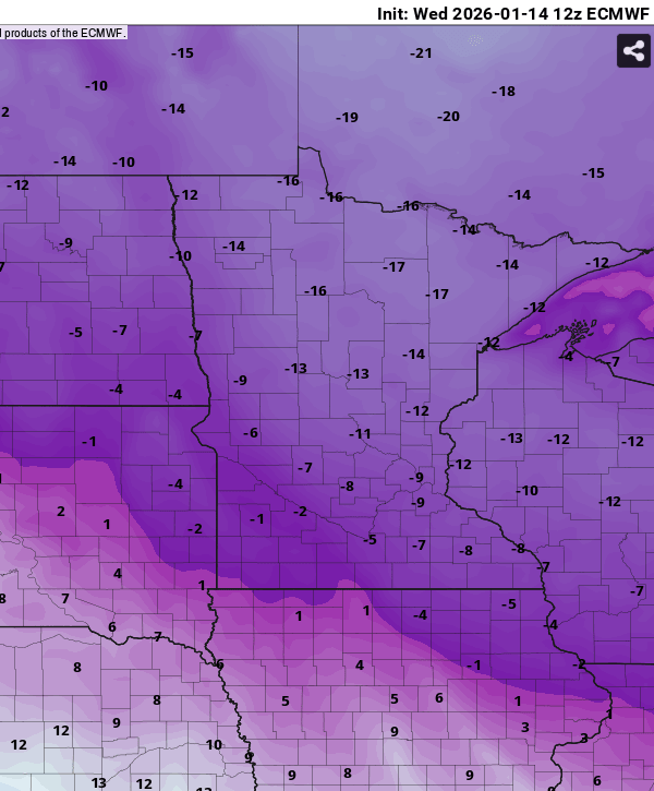 European ECMWF model temperature