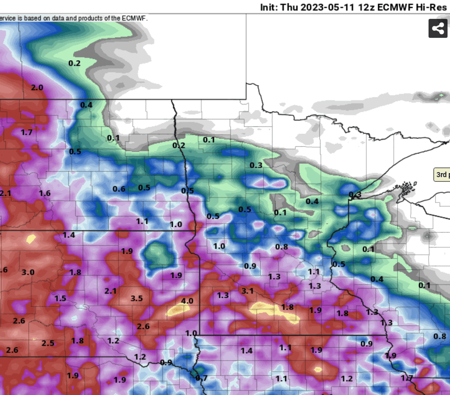 European model (ECMWF) precipitation output