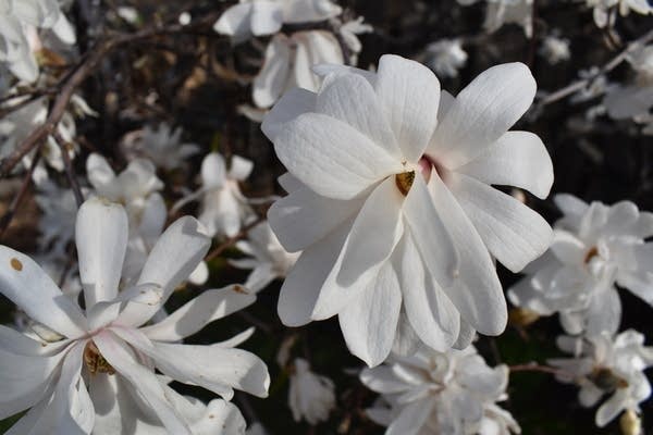 Quiet Saturday weather; rain chance north Sunday a.m., then in the south Sunday p.m.