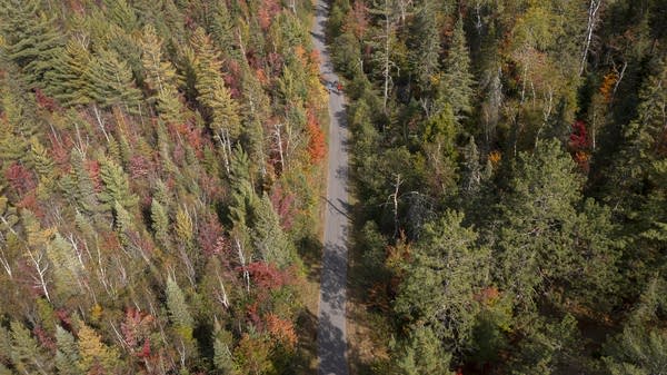 An aerial shot of a trail cutting through forest in autumn.