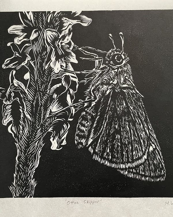 Animals of Minnesota's Driftless Area are the stars of Winona art