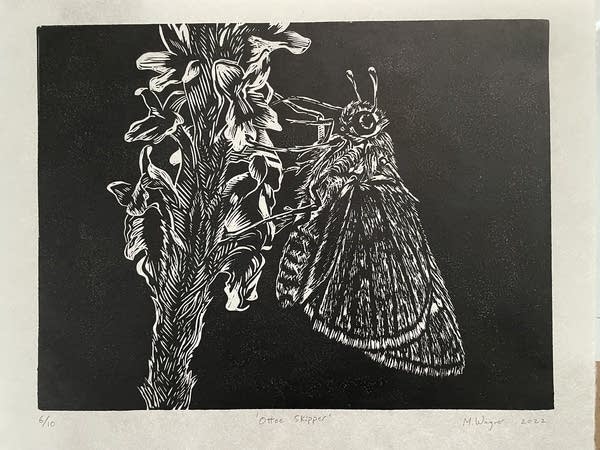 Animals of Minnesota's Driftless Area are the stars of Winona art