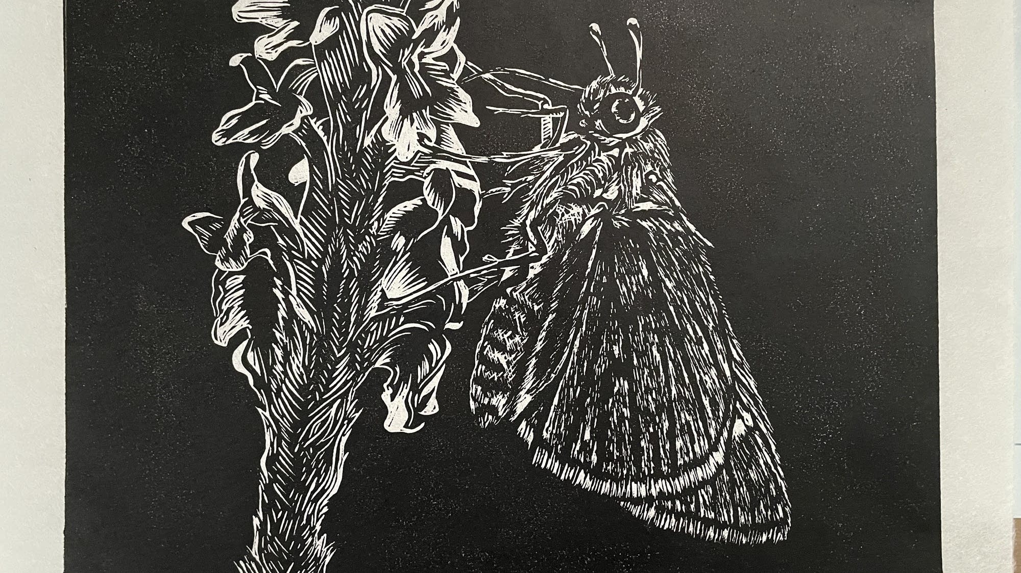 Animals in black and white【ヴィンテージ・木版画集】 Animals of Minnesota's Driftless Area are the stars of Winona art