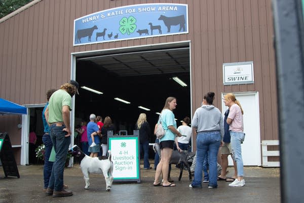 A group of people talks outside an open barn next to a few goats.