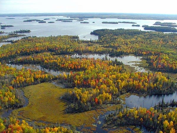 Scientists have found chemicals in Minnesota lakes