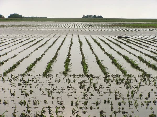 A flooded farm field southwest of Worthington.