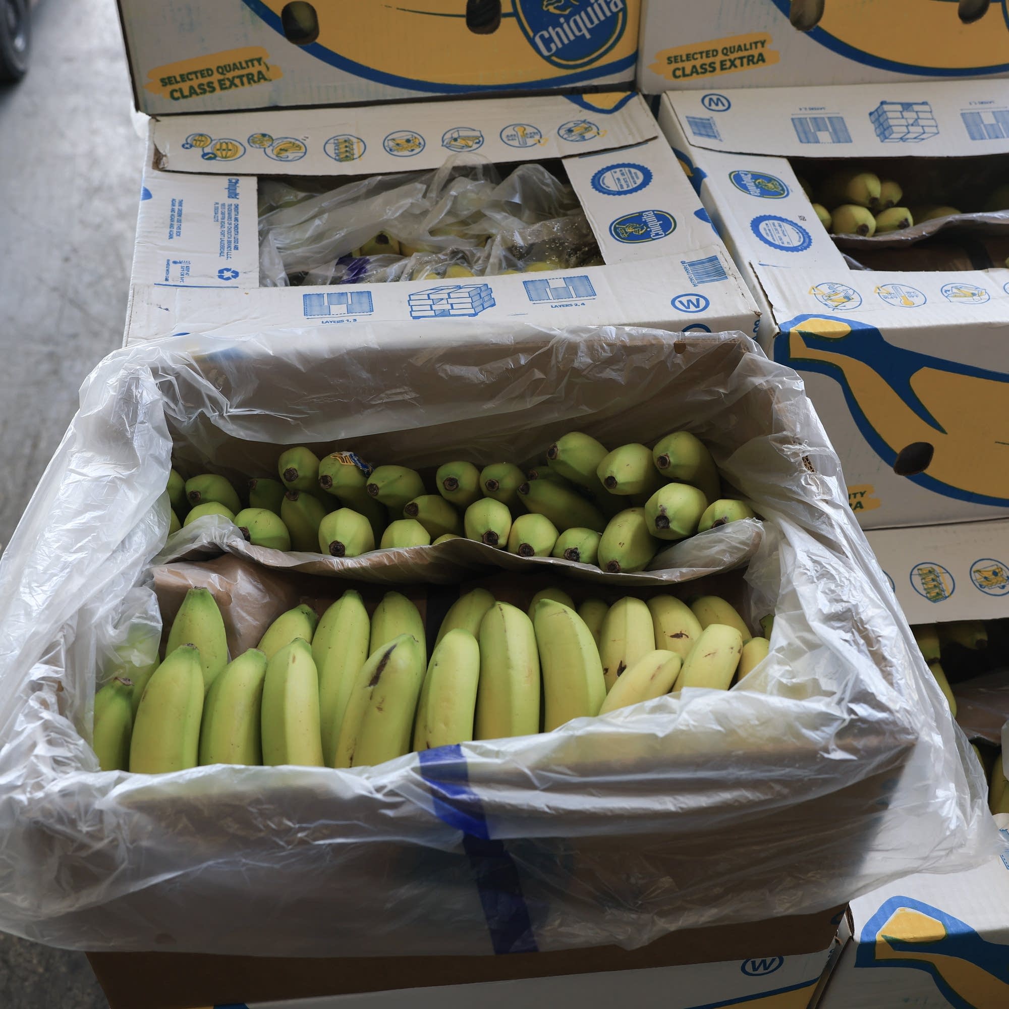 Trump's tariff turnaround