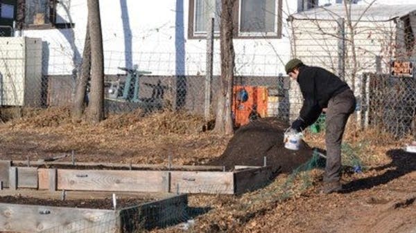 Urban farming program tackles Duluth “food desert” | MPR News
