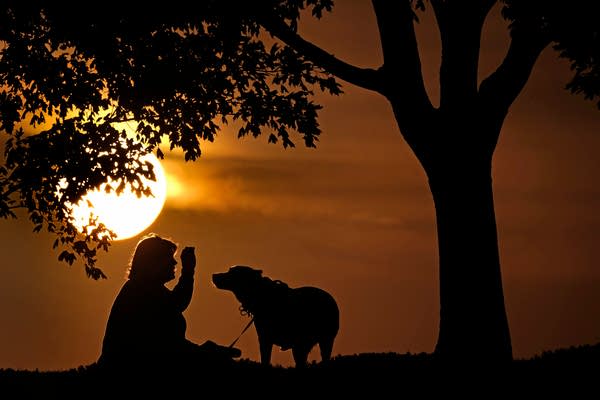 A woman sits with a dog under a setting sun.