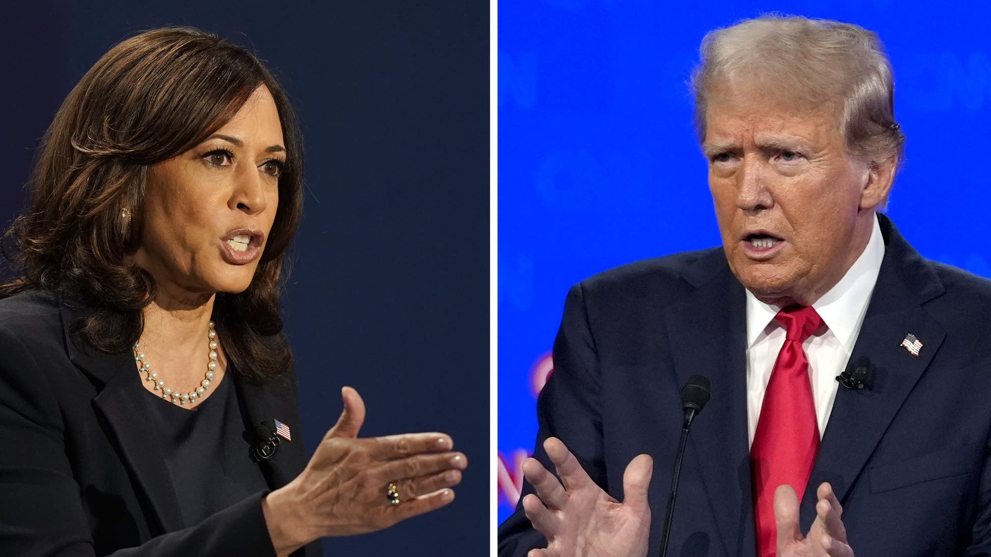 Reviewing the Harris-Trump presidential debate | MPR News
