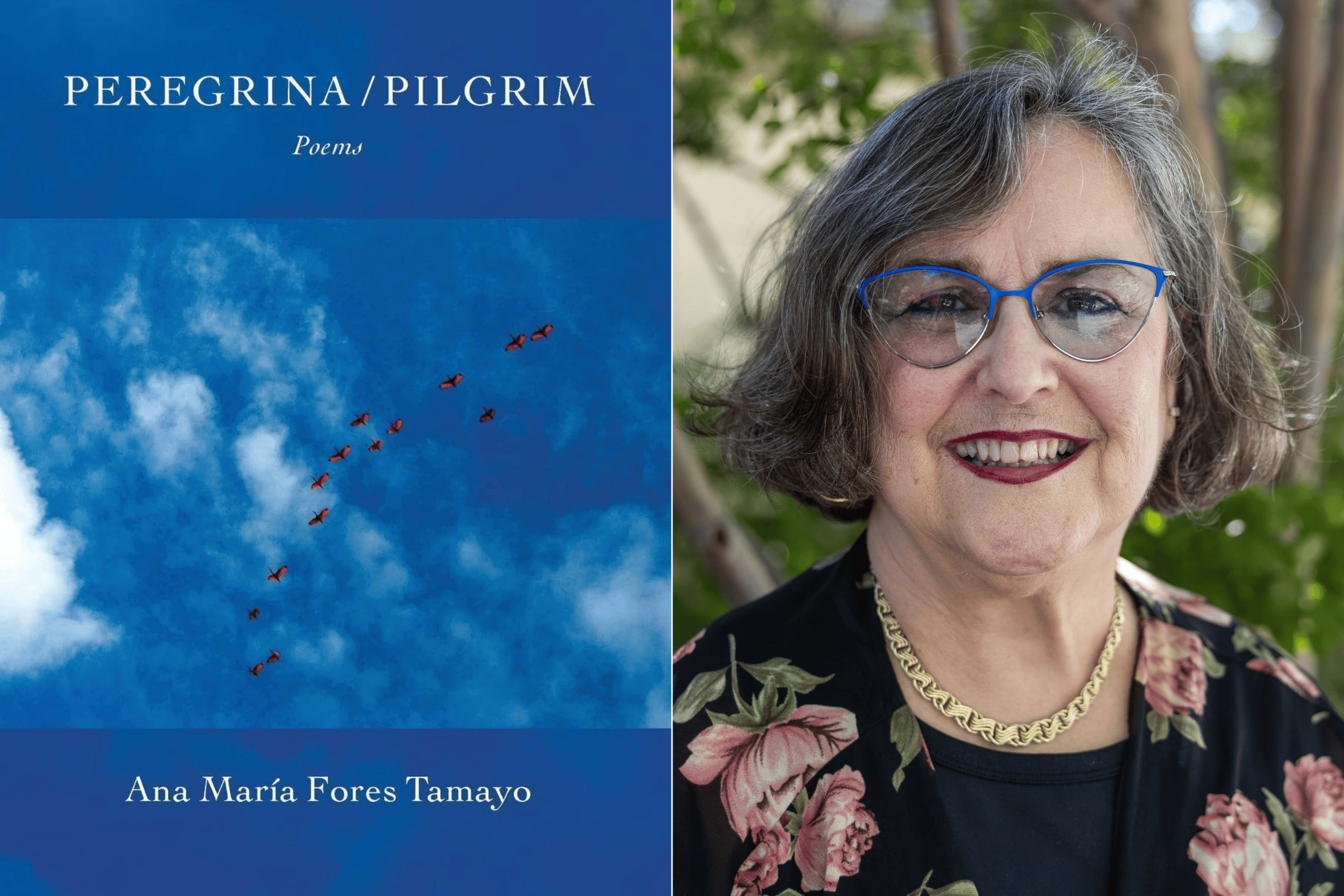 An author and their book