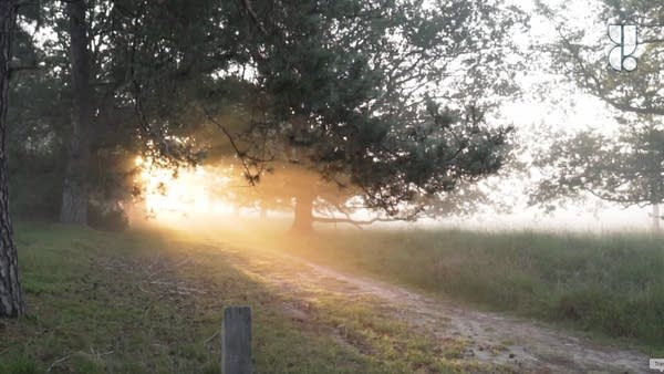 Mindful Moment: Morning Meditation Music