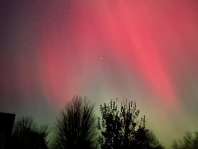 Reds and greens paint the night sky with trees in the foreground.