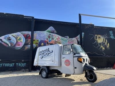 A small ice cream truck is parked in front of a large mural of a fish and bumblebee.