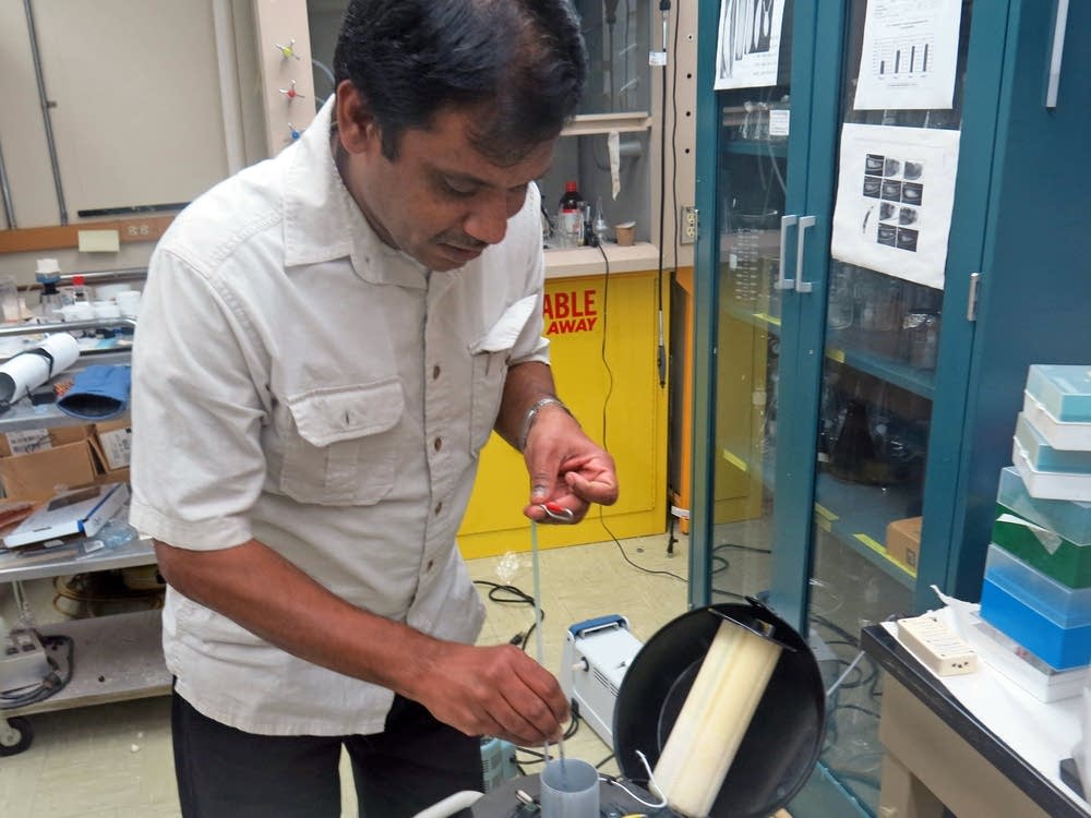 USDA biologist Arun Rajamohan