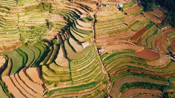 Indian farmers to protest over trade pressure