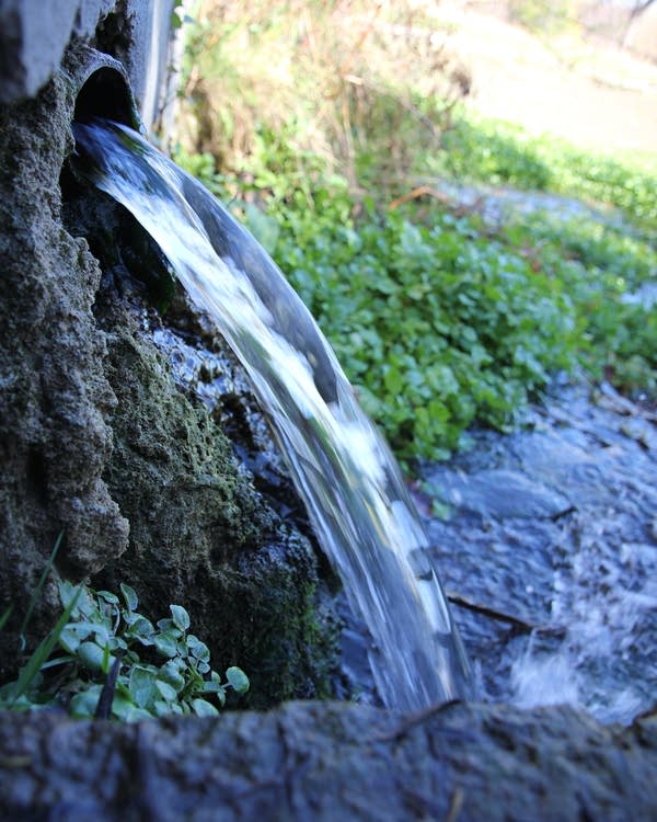 Water emerges from underground at a spring