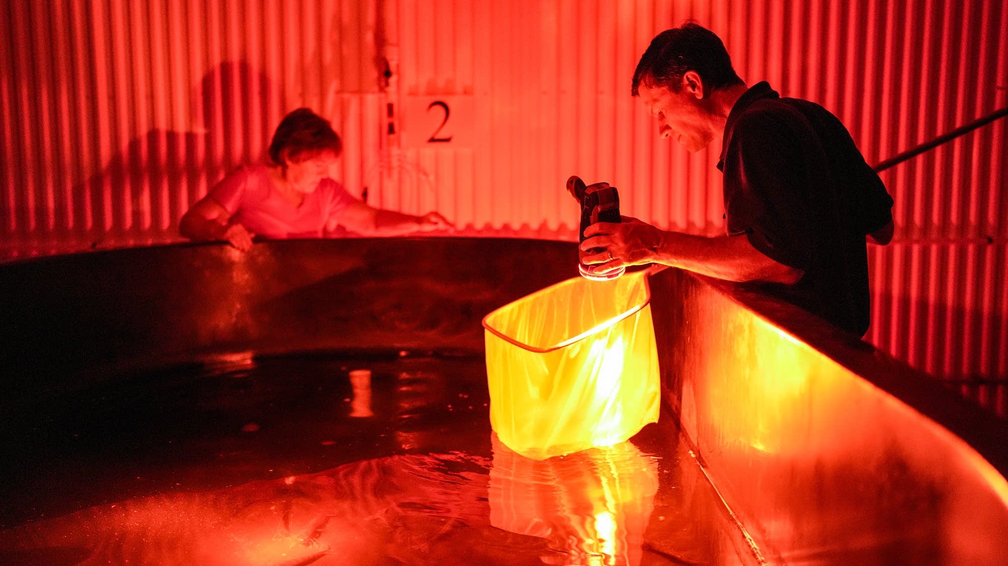 Minnesota is home to only inland shrimp hatchery. Its future is now uncertain