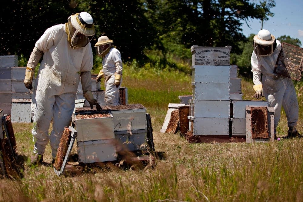 California & Minnesota Honey Farms