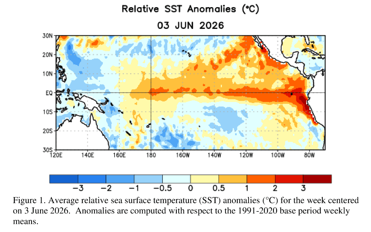 Sea surface temperature anomaly from June 2026