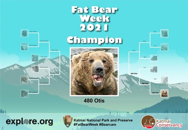 Championship bracket for "Fat Bear Week 2021" showing Otis as winner