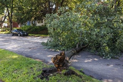 Storm Damage