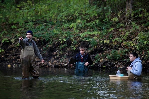 High school students work in the river on a field trip.