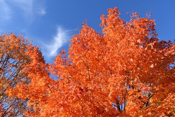 Weekend forecast: Beautiful Saturday; chilly and breezy for Halloween 