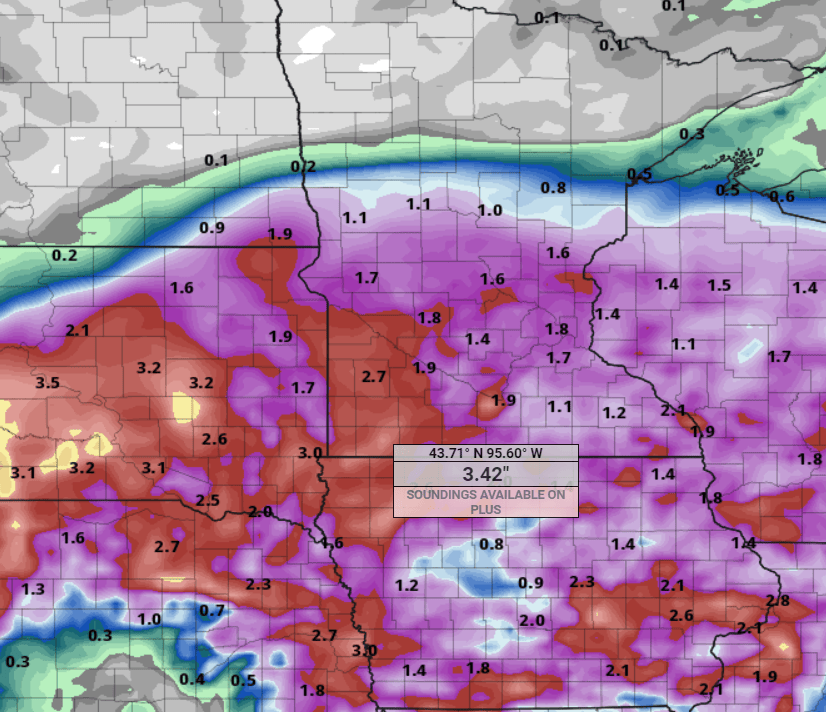 European model (ECMWF) precipitation output