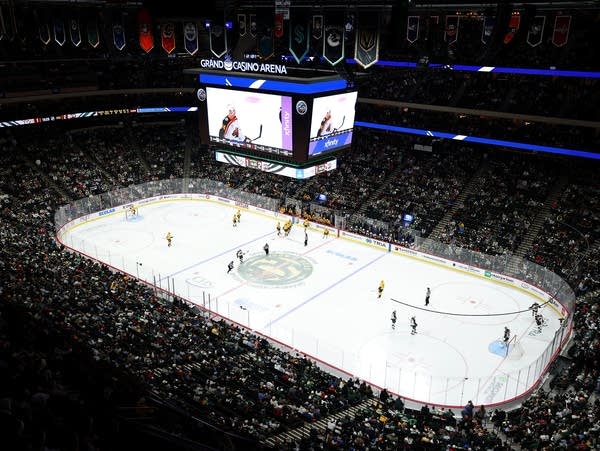 Fans cheer on the Minnesota Wild during a game