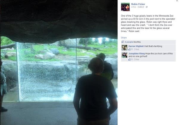Bear at MN Zoo smashes window, doesn’t escape