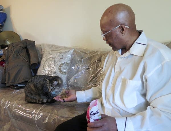 A man feeds a gray cat treats on the couch.