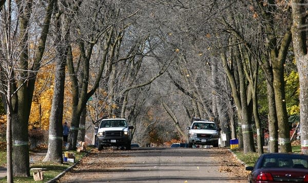 W. California Avenue in St. Paul