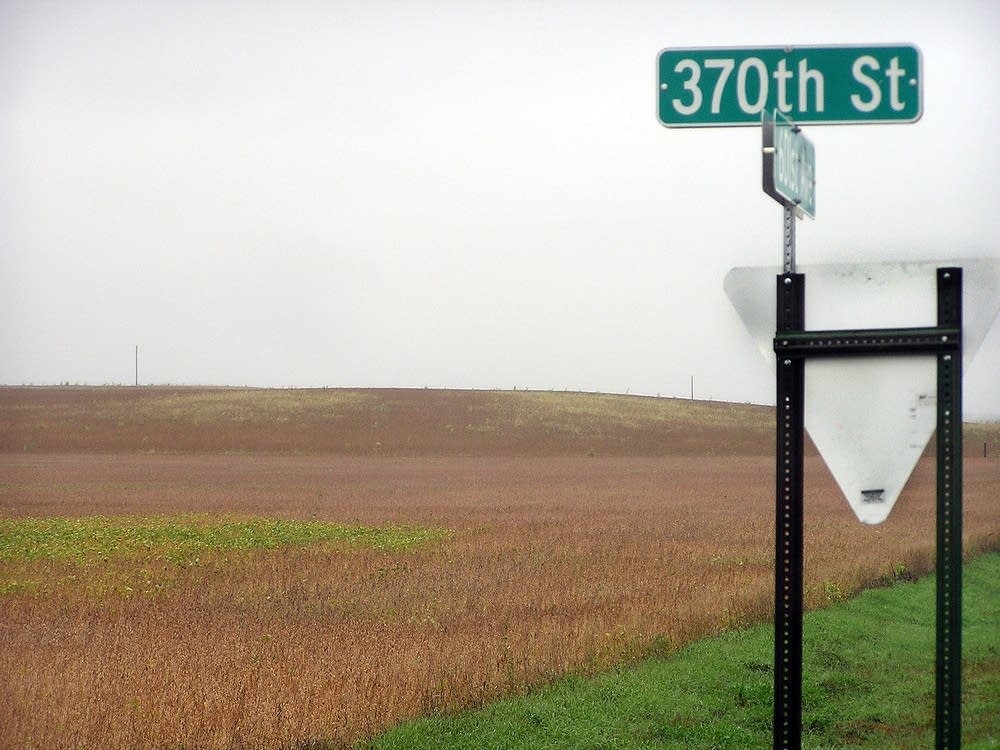 Wind farm site