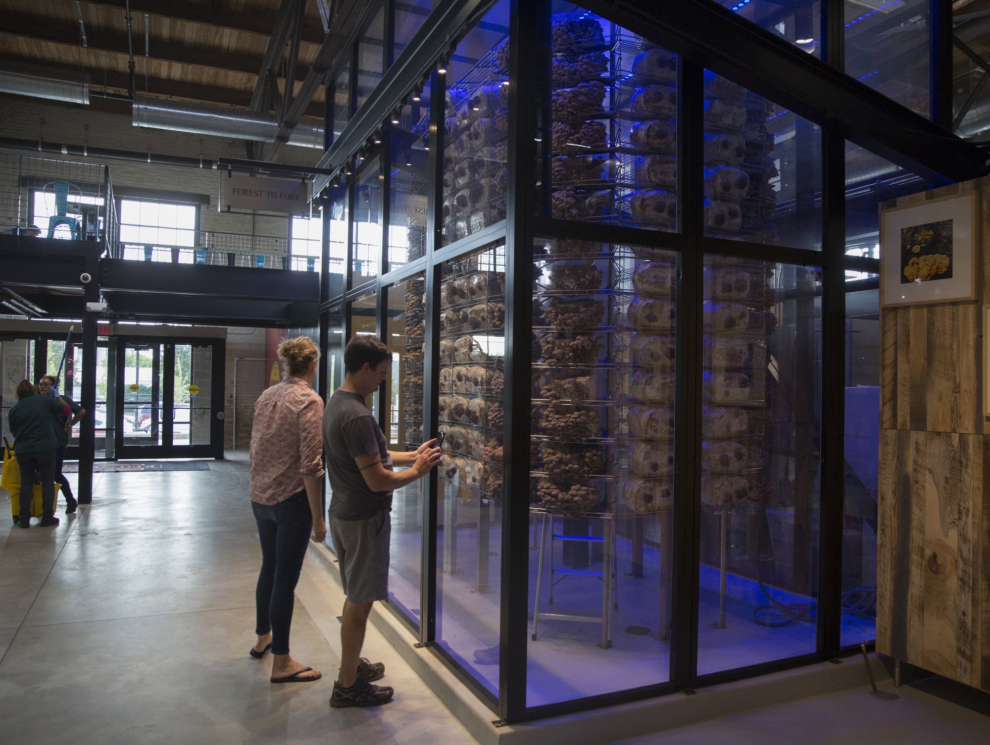 Photos A new market Keg and Case opens in St. Paul MPR News